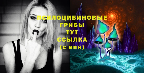 гидропоника Богородск